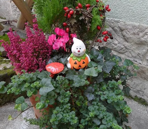 An Der Therme Apartment *